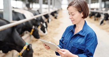 Photo of a woman in a barn looking at a clipboard
