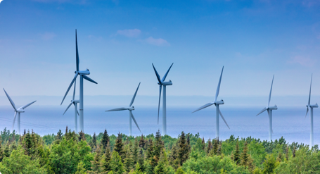 Photo of several wind turbines overlooking a forest 