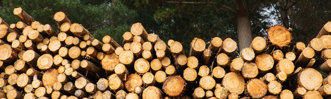 Image of a neatly stacked pile of logs, arranged for storage or use in construction.