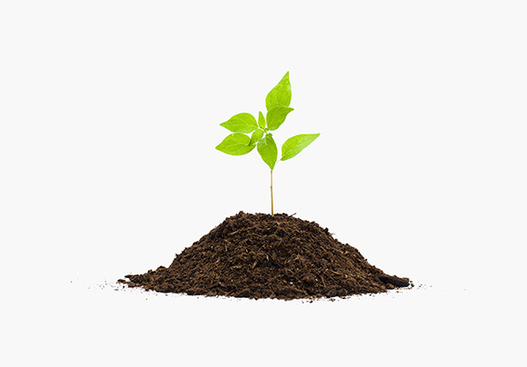 Seedling - Businesses