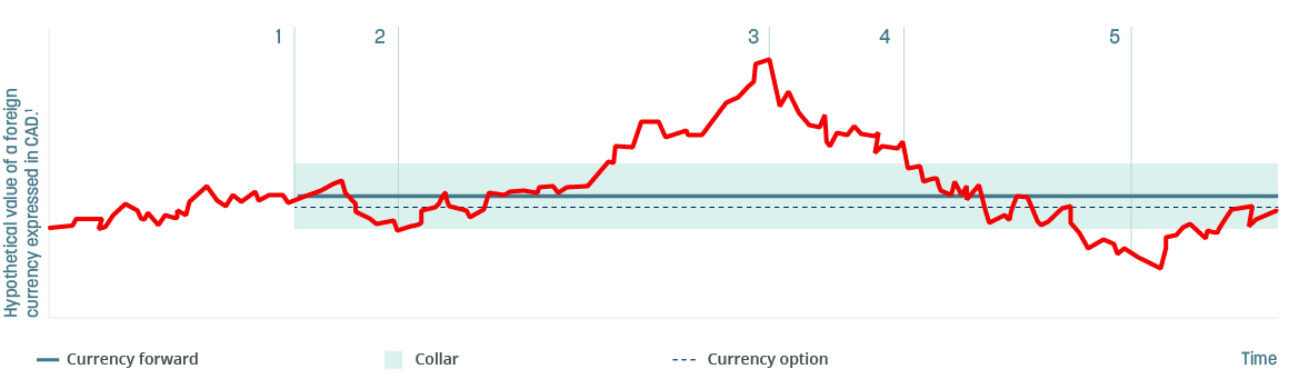 Foreign Exchange Hedging National Bank