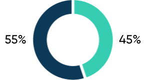 Moderate profile target allocation graph