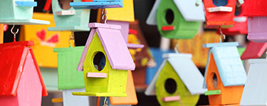 Colourful little bird houses