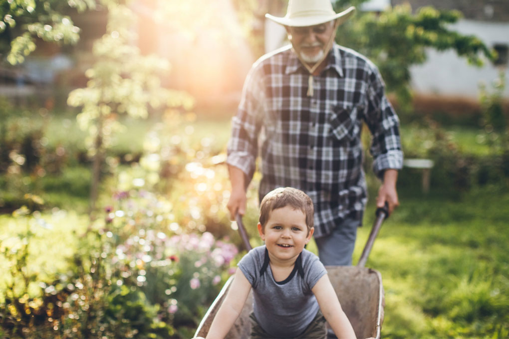 Three essentials for estate planning estate planning