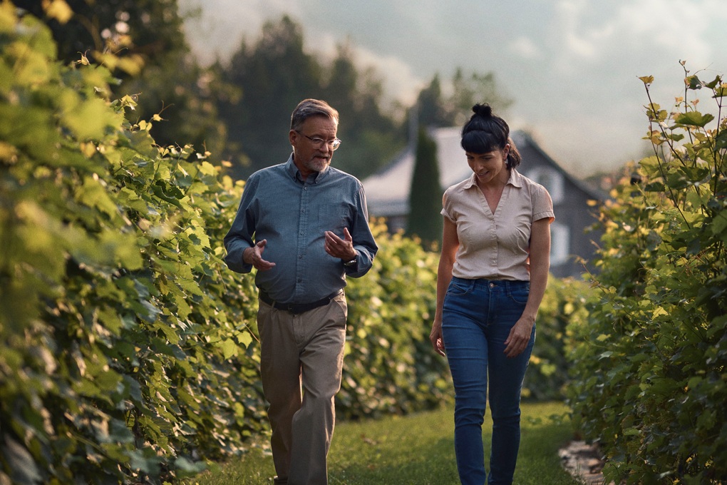 Two people walking in a vineyard under a cloudy sky.