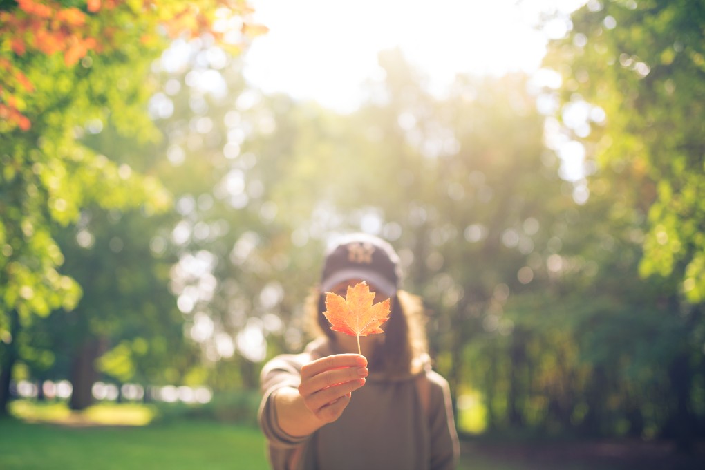 Image of young women holding a maple leaf in front of her face