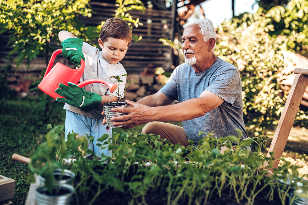 patrimoine_familial Alternative minimum tax