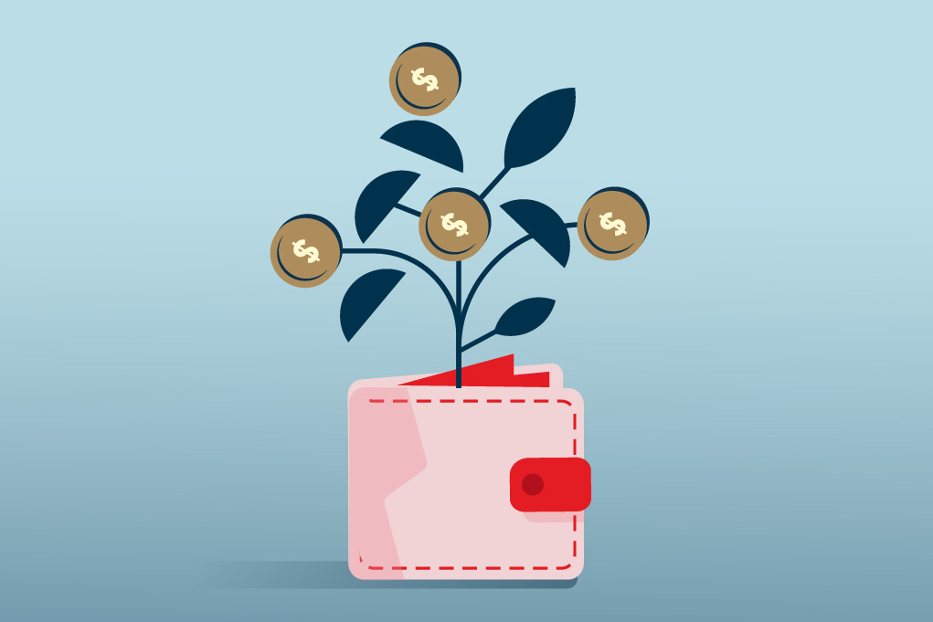 Drawing of a wallet containing a plant with dollar signs on the leaves