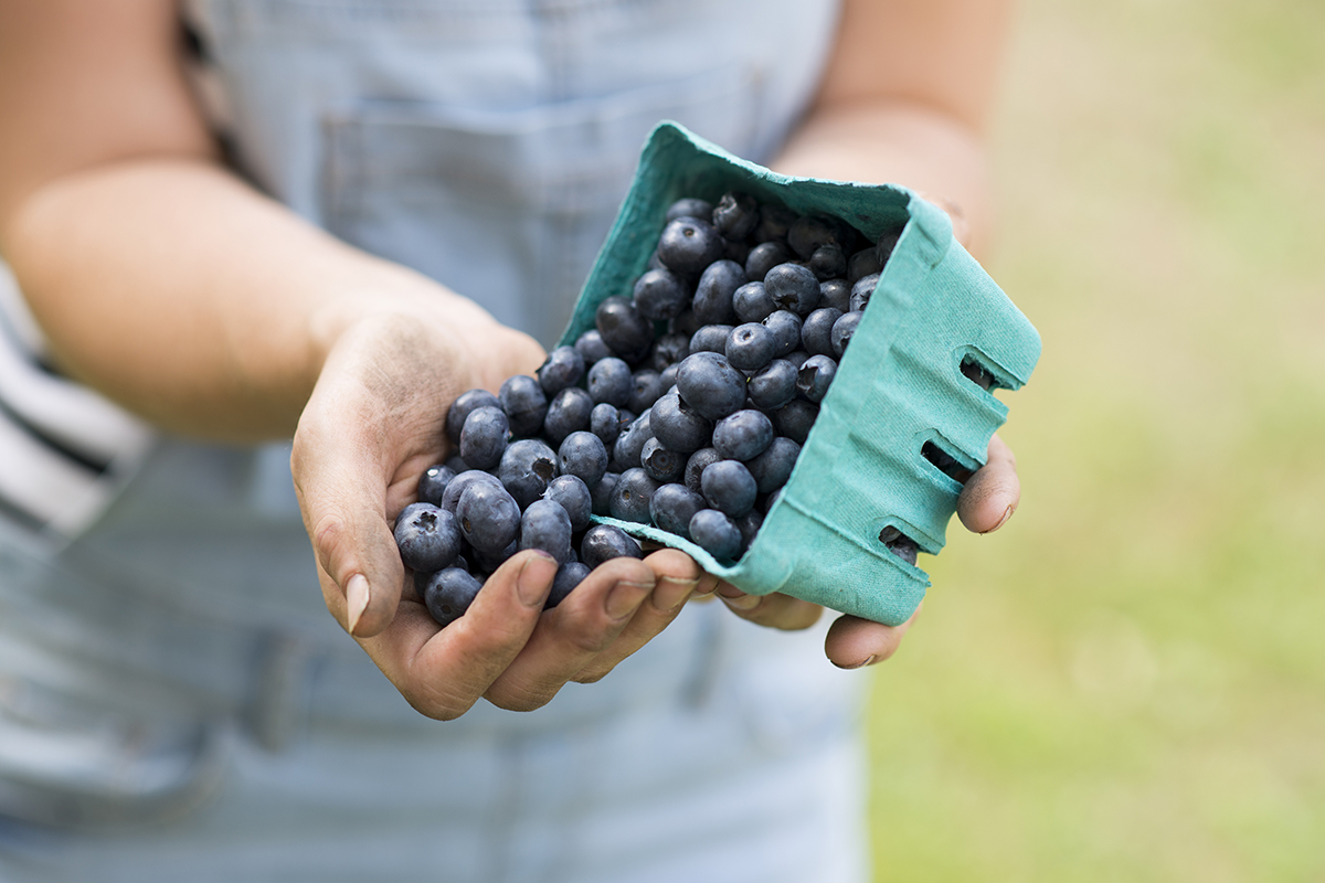 food-and-agri-food-sector-when-exporting-pays-off Food and agri-food sector: when exporting pays off