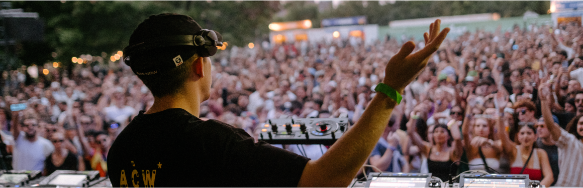 Photo of a DJ facing a crowd